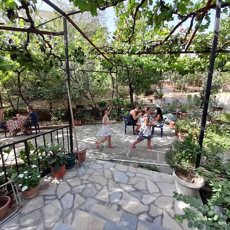 Camping Late Gjirokaster Ngoại thất bức ảnh