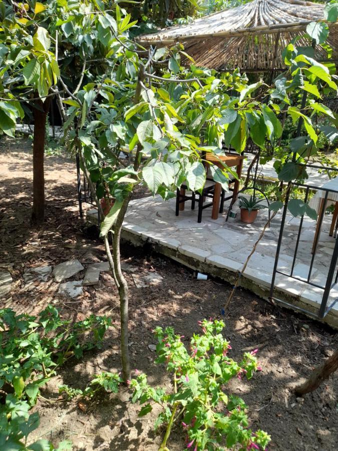 Camping Late Gjirokaster Ngoại thất bức ảnh