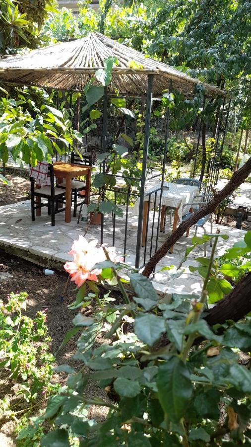 Camping Late Gjirokaster Ngoại thất bức ảnh