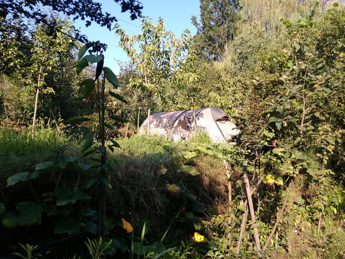 Camping Late Gjirokaster Ngoại thất bức ảnh